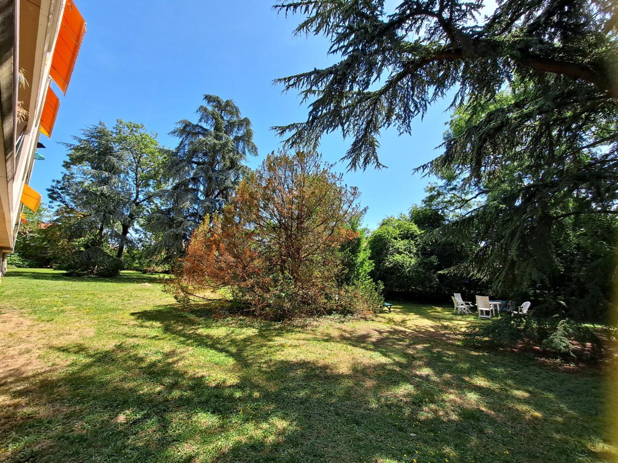 Le Duc De Savoie Thonon Daire Dış mekan fotoğraf